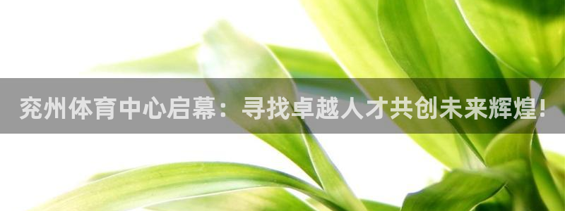kok新版中欧体育
