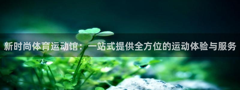 zoty中欧体育网址多少