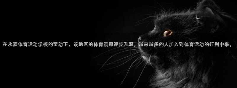 中欧体育zoty下载