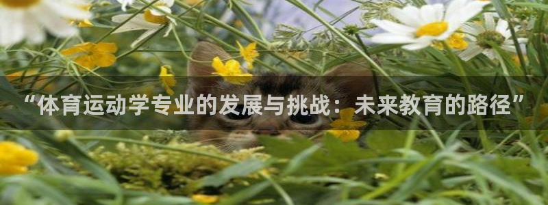 中欧体育网页版