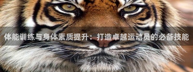 中欧体育下载
