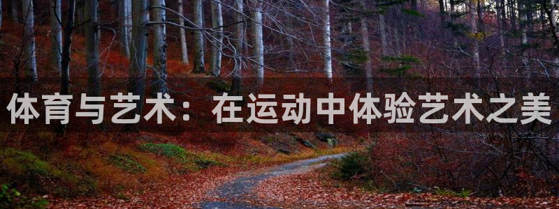 中欧体育全站app
