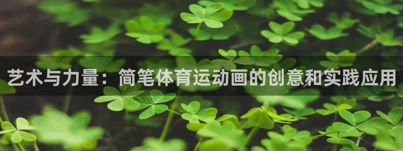 中欧体育网站