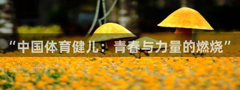 中欧体育平台
