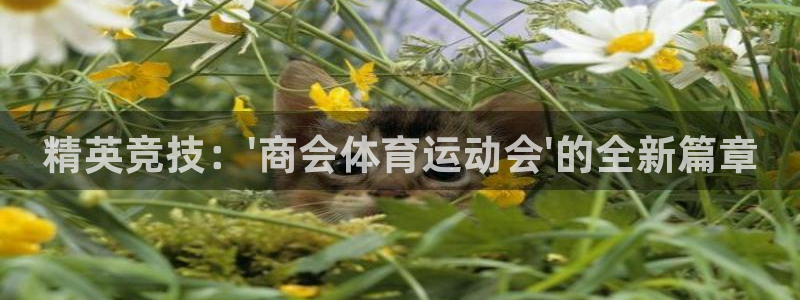 中欧体育网页版