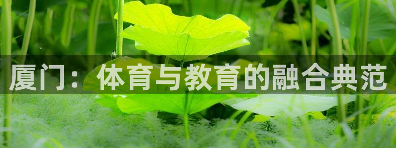 中欧体育下载