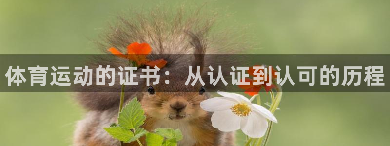 中欧体育ac米兰