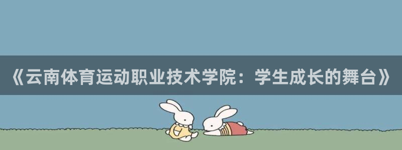 中欧体育李勇鸿
