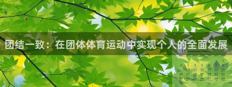 kok新版中欧体育