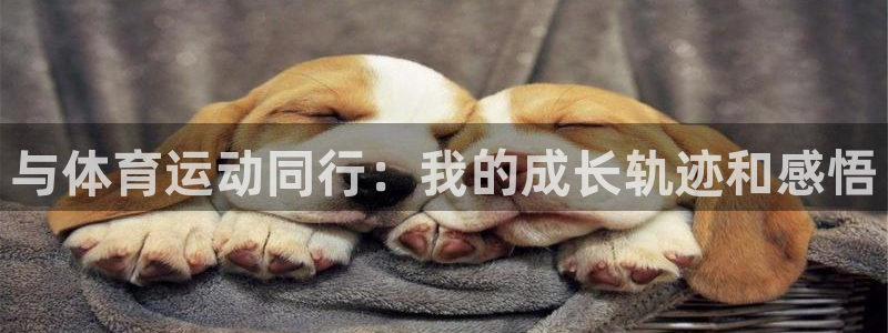中欧体育下载